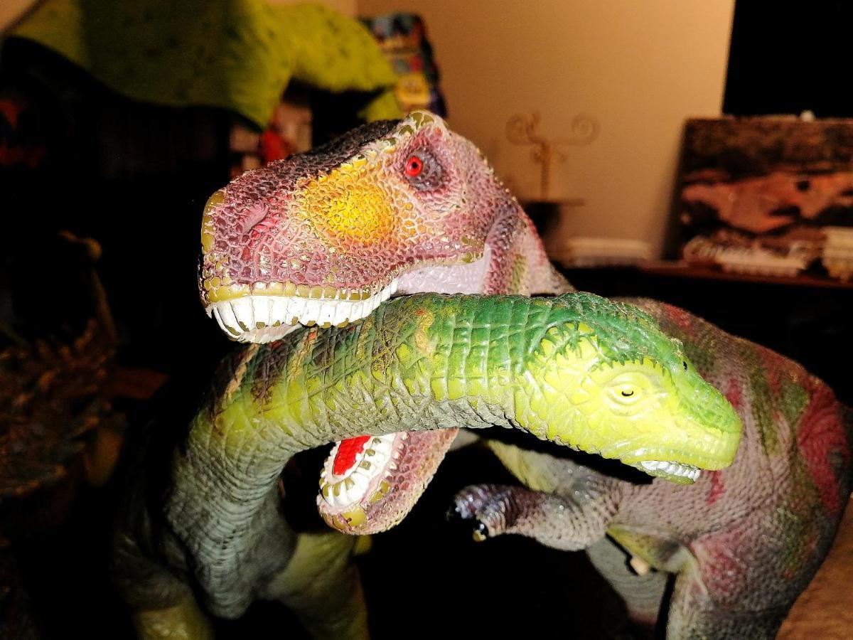 Torotoro Hostal Dinosaurio B&B 외부 사진
